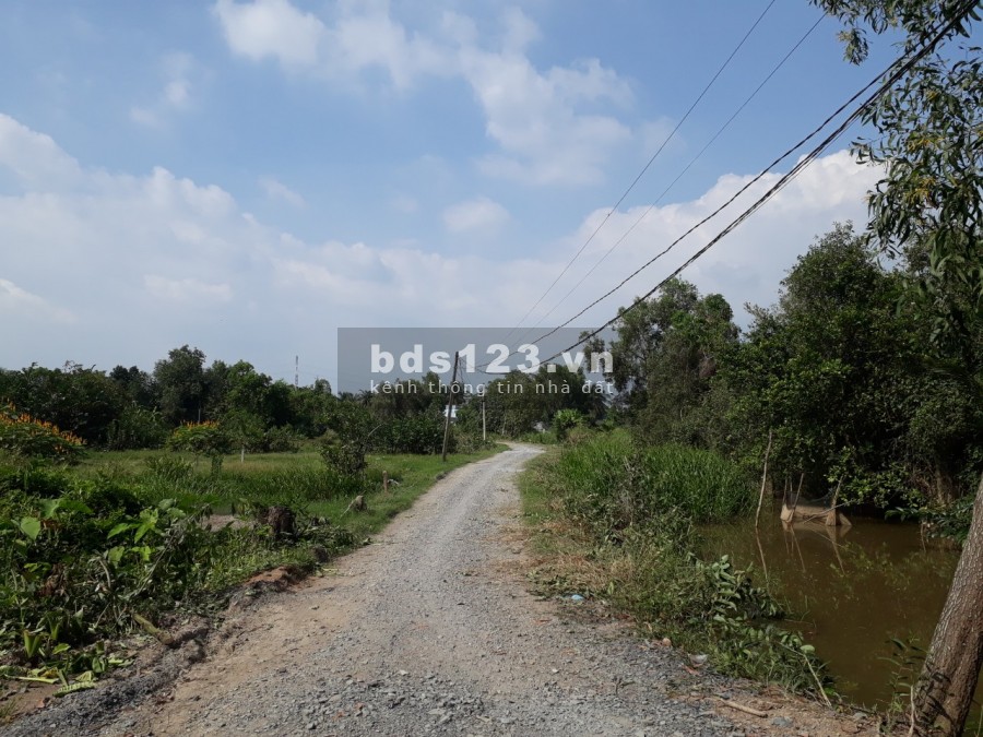 5200 m2 đất xã Tân Bửu ,huyện Bến Lức,Long An thích hợp nghỉ dưỡng