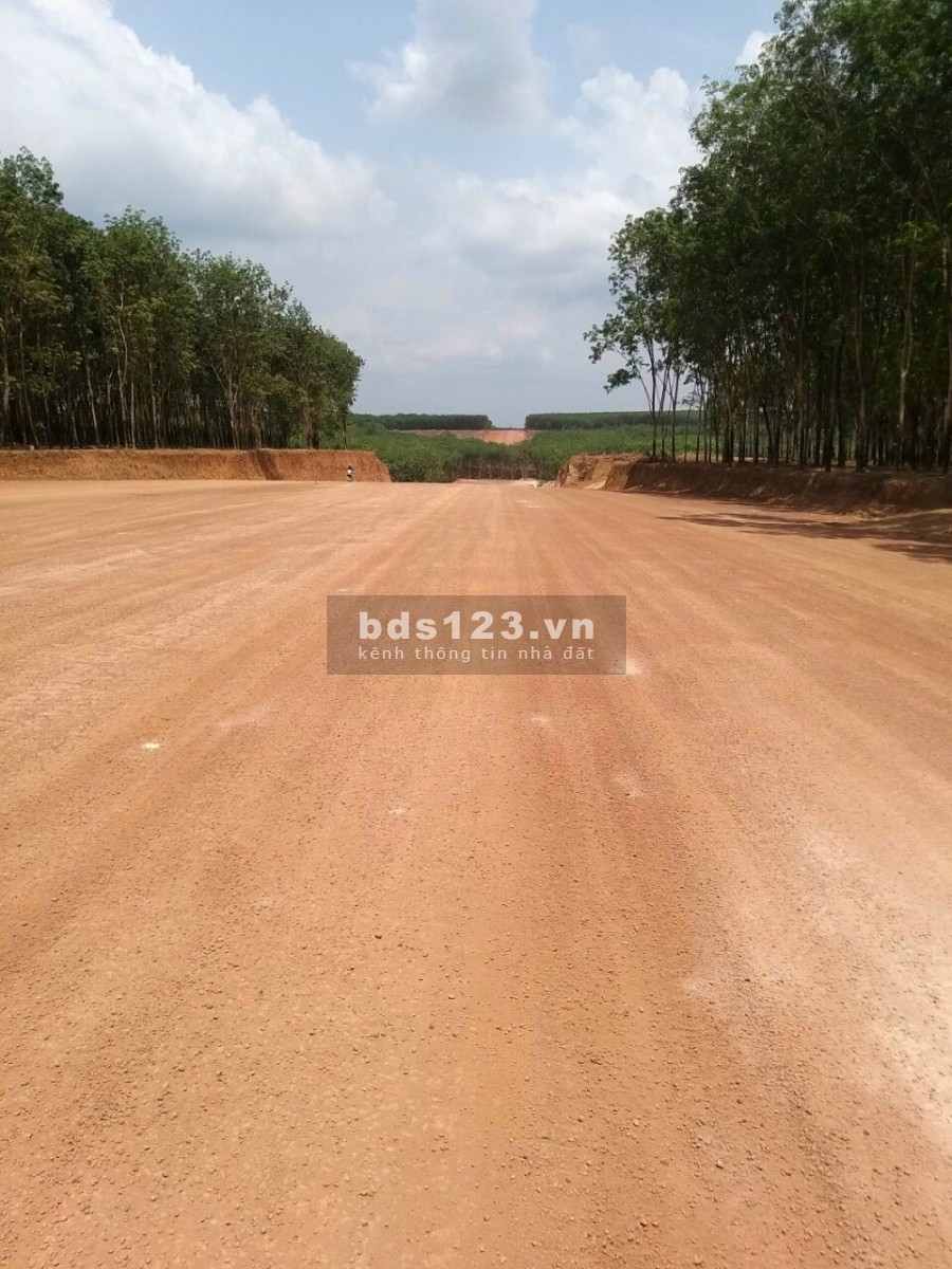Nhượng lại 1173m2 (15mx76m) đất mặt tiền đường Bình Dương – Đồng Phú