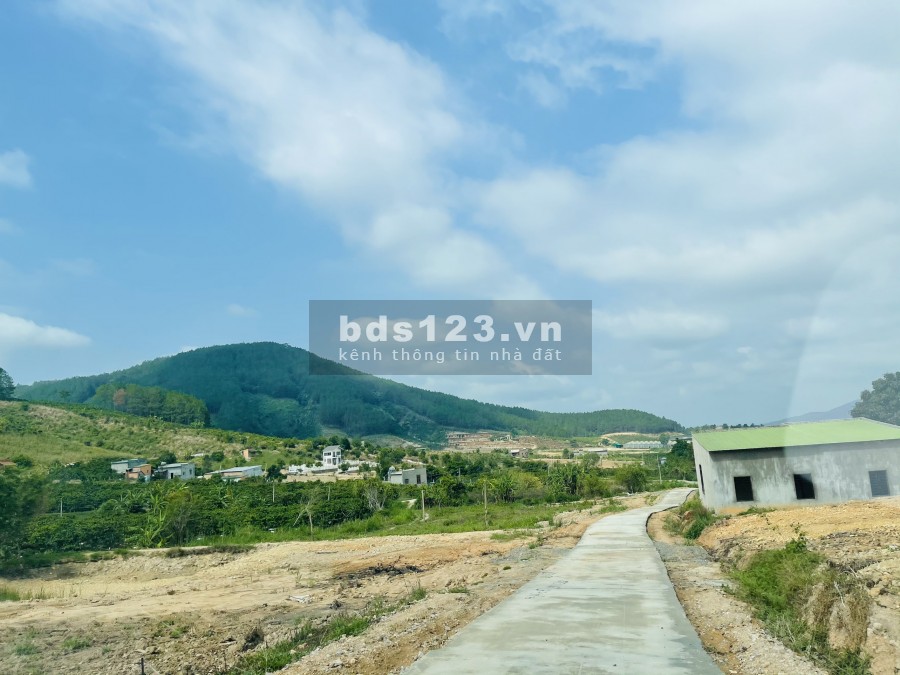 350 M2 ĐẤT VIEW ĐỒI VÀ SUỐI MÊ LINH, ĐÀ LẠT CHỈ 2.2 TRIỆU/M2