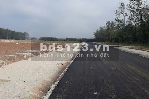 Bán 2000m2 kcn Becamex, có sổ hồng, đường nhựa 32m gần trường học chợ,...