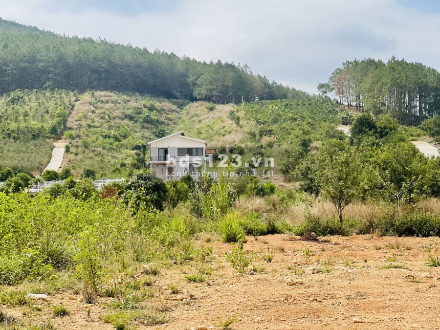 350 M2 ĐẤT VIEW ĐỒI VÀ SUỐI MÊ LINH, ĐÀ LẠT CHỈ 2.2 TRIỆU/M2