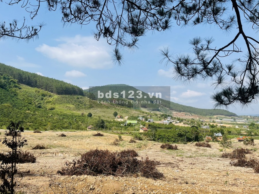 350 M2 ĐẤT VIEW ĐỒI VÀ SUỐI MÊ LINH, ĐÀ LẠT CHỈ 2.2 TRIỆU/M2