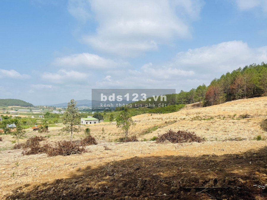 350 M2 ĐẤT VIEW ĐỒI VÀ SUỐI MÊ LINH, ĐÀ LẠT CHỈ 2.2 TRIỆU/M2