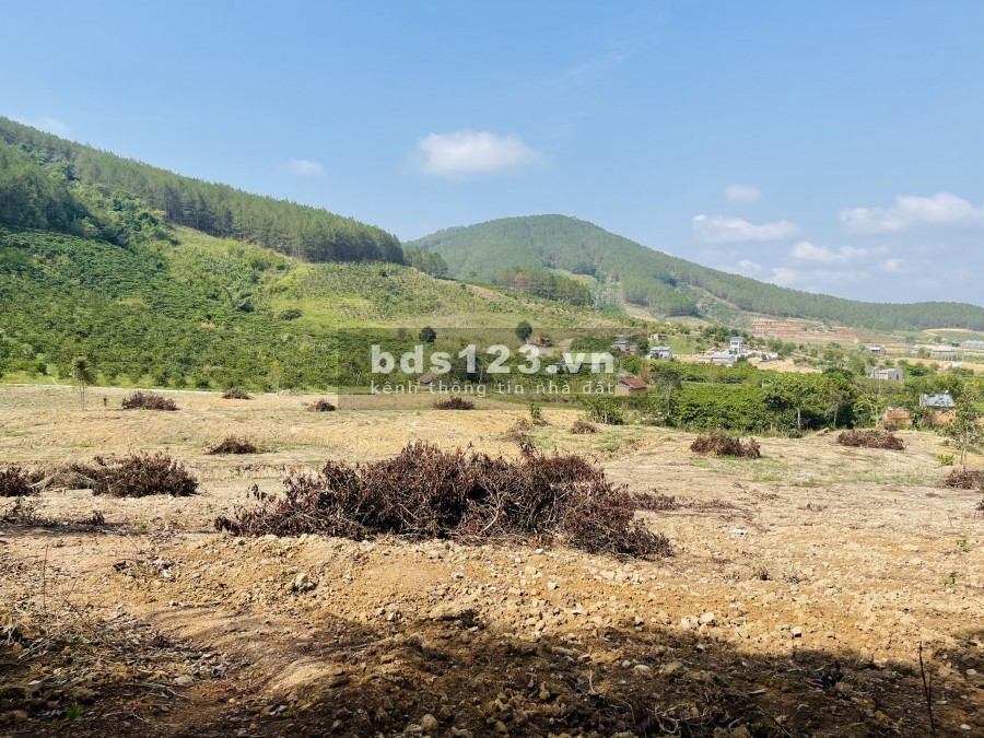 350 M2 ĐẤT VIEW ĐỒI VÀ SUỐI MÊ LINH, ĐÀ LẠT CHỈ 2.2 TRIỆU/M2