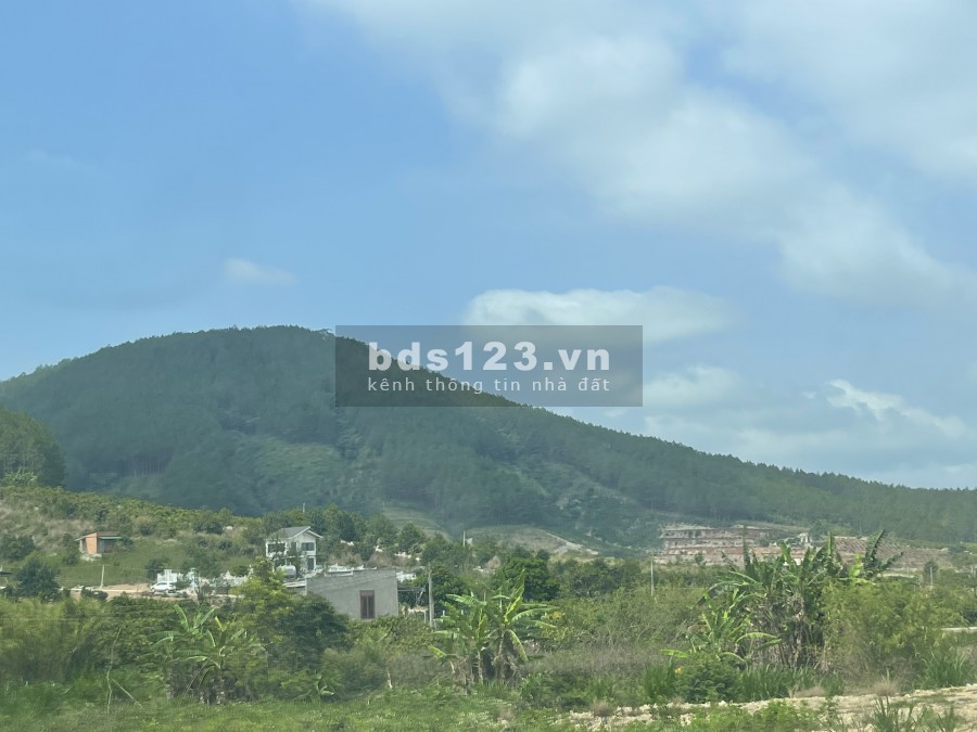 350 M2 ĐẤT VIEW ĐỒI VÀ SUỐI MÊ LINH, ĐÀ LẠT CHỈ 2.2 TRIỆU/M2