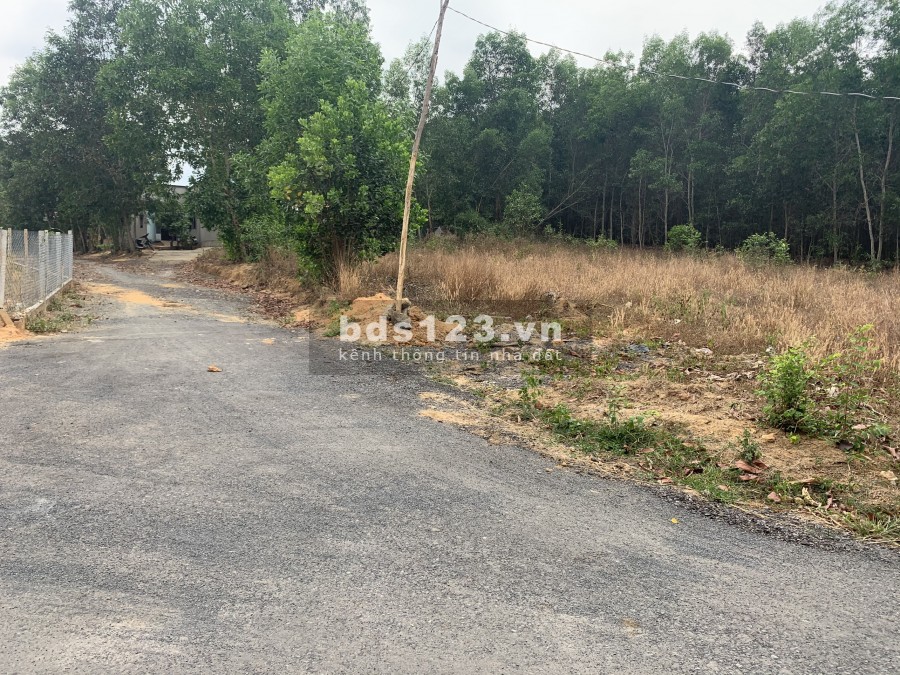 Cần Bán lô đất sào 2117m2 (300 thổ) ở xã Phước Bình, Long Thành, Đồng Nai.