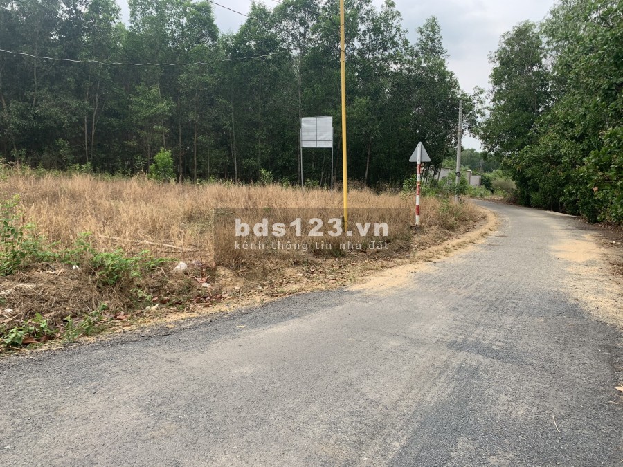 Cần Bán lô đất sào 2117m2 (300 thổ) ở xã Phước Bình, Long Thành, Đồng Nai.