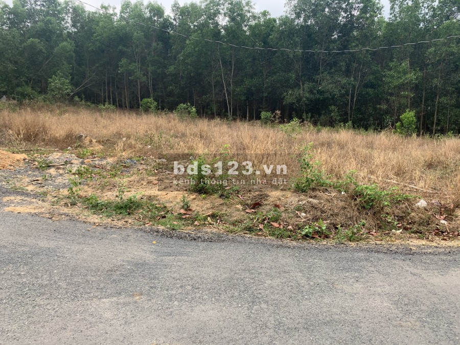 Cần Bán lô đất sào 2117m2 (300 thổ) ở xã Phước Bình, Long Thành, Đồng Nai.