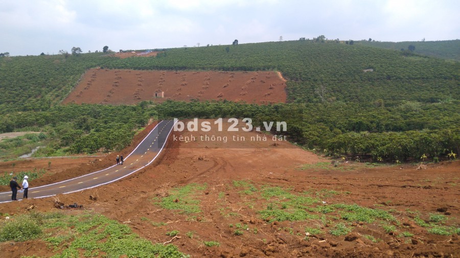 Cần bán lô đất view đồi chè Bảo Lộc