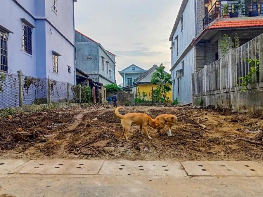 [Cần Bán Gấp] đất nền mặt tiền An Thường Công ChúaTpHue