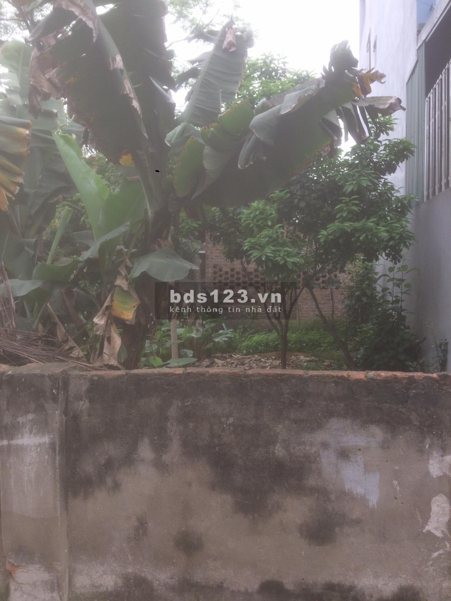 BÁN NHANH: 40m2 chỉ 650tr ngõ trước nhà 5m ( gần đường 21b) thanh cao-hn