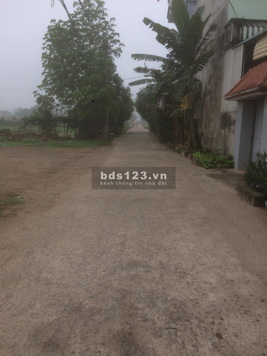 BÁN NHANH: 40m2 chỉ 650tr ngõ trước nhà 5m ( gần đường 21b) thanh cao-hn
