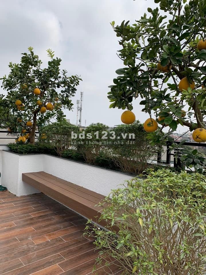 Hiếm lắm! Lộc vip xuất hiện, nhà phố Lò Đúc (có thang máy)