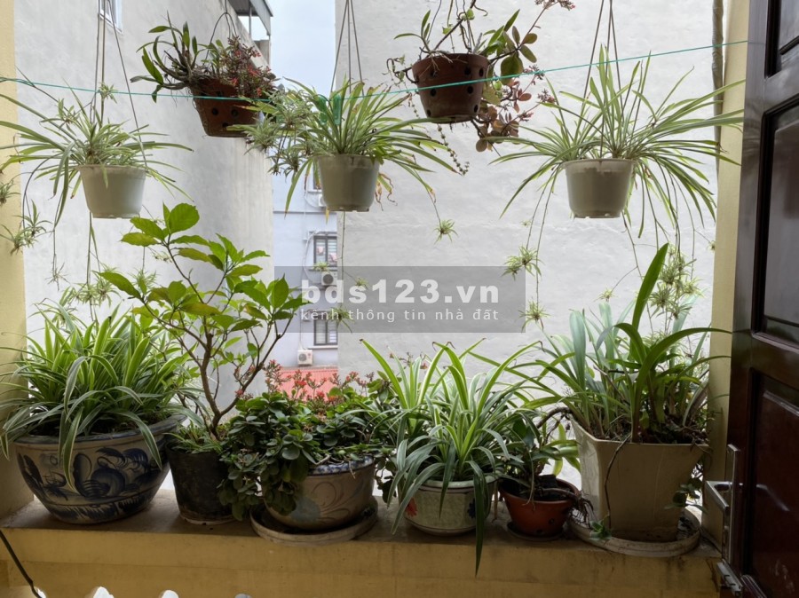 CHÍNH CHỦ: CẦN BÁN GẤP NHÀ MẶT NGÕ 325 KIM NGƯU, NHÀ ĐẸP 4 TẦNG, SĐCC, GIÁ NHỈNH 6 TỶ