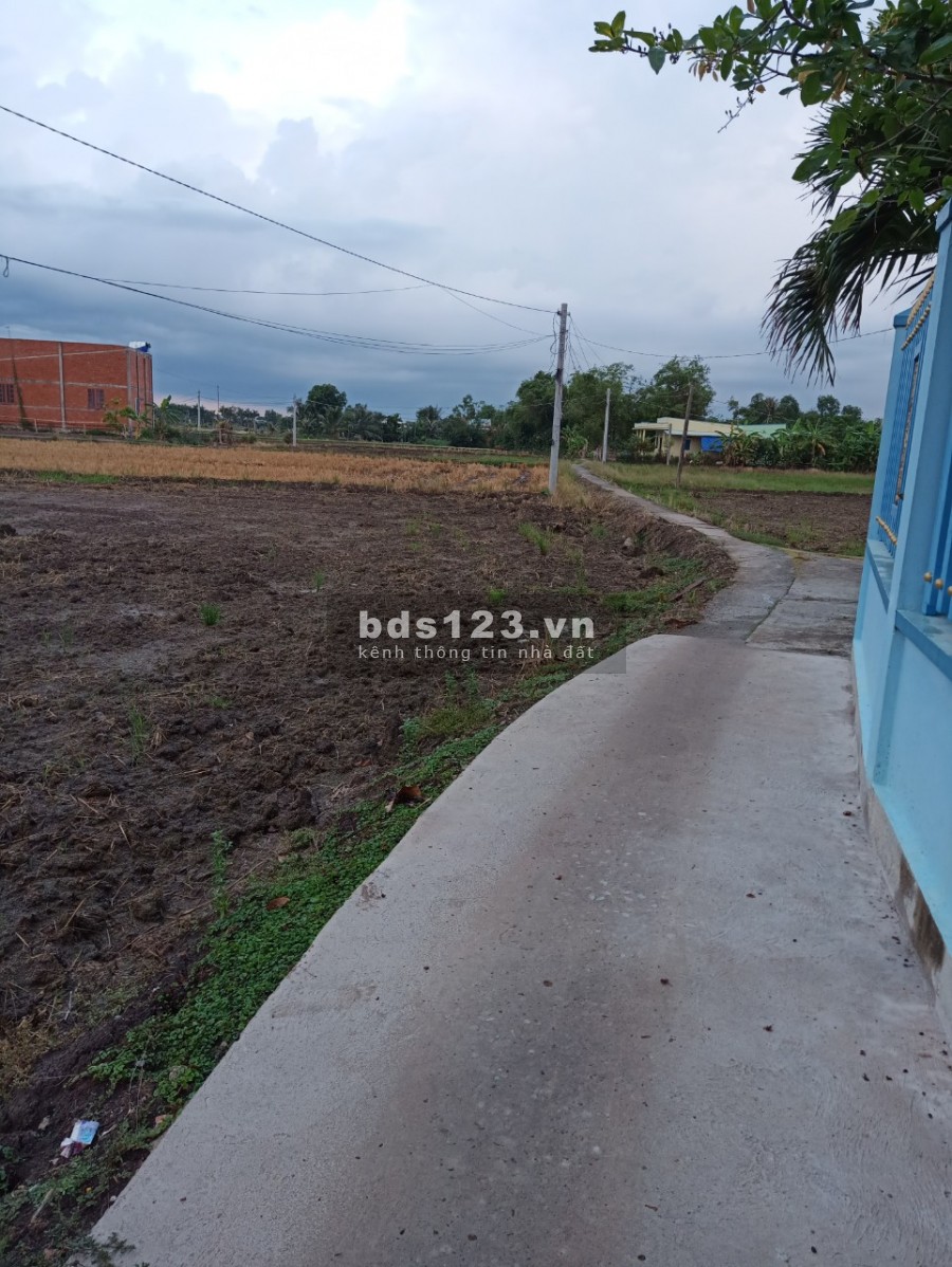 Bán đất ruộng gần kcn cầu cảng Phước đông đúc