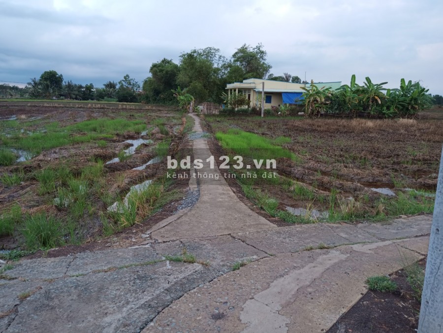 Bán đất ruộng gần kcn cầu cảng Phước đông đúc