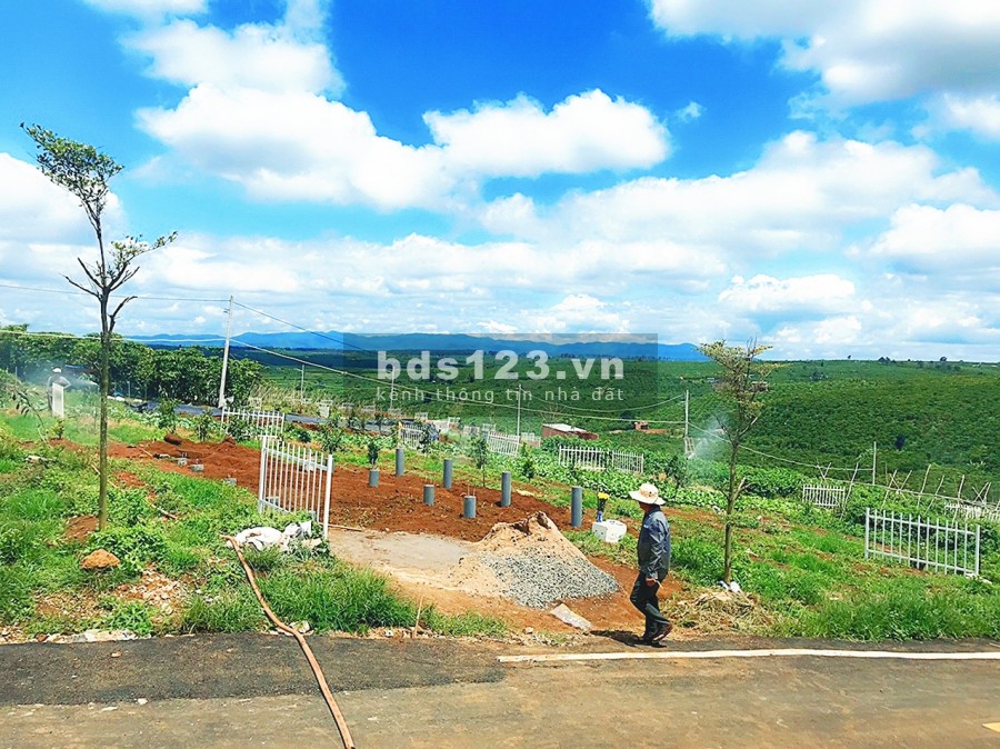 Đất Nền Nghỉ Dưỡng Bảo Lâm - Bảo Lộc
