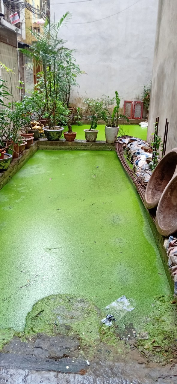ĐẤT PHỐ TÂY SƠN, ĐỐNG ĐA, Ô TÔ ĐỖ, 60M, MẶT TIỀN 6M, GIÁ 5 TỶ