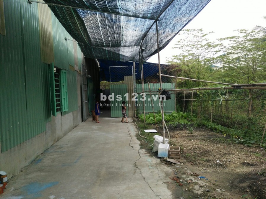 Bán đất Vườn Lài, An Phú Đông, Quận 12 gần sông