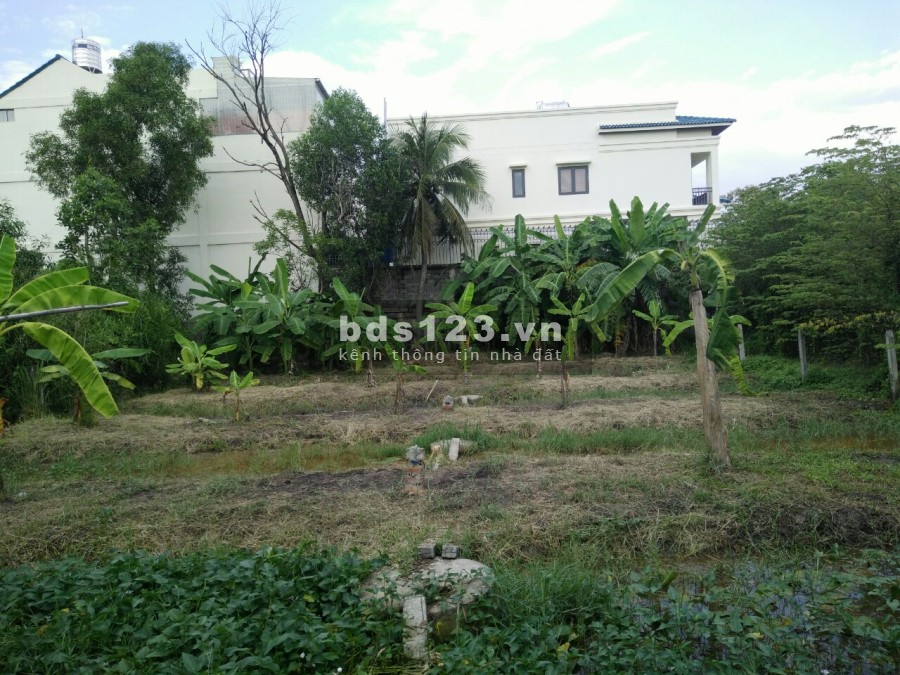Bán đất Vườn Lài, An Phú Đông, Quận 12 gần sông