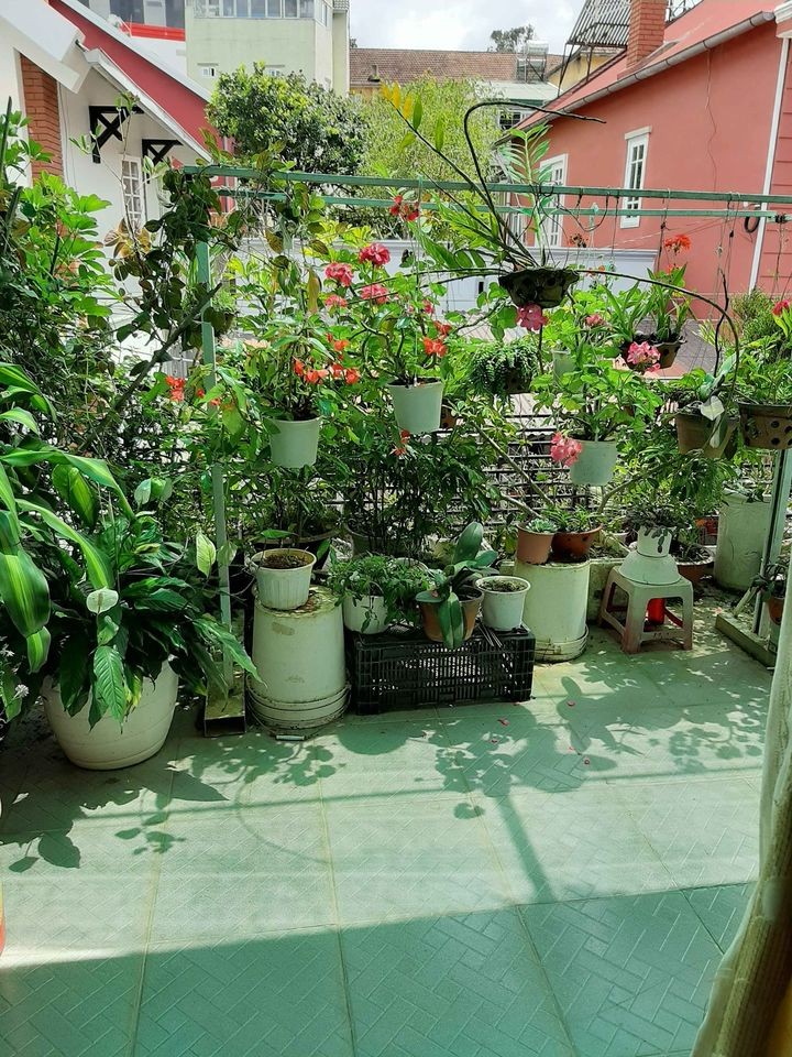 Kẹt tiền nên cần bán căn nhà ngay phố Đà Lạt, có sân vườn 4ty5