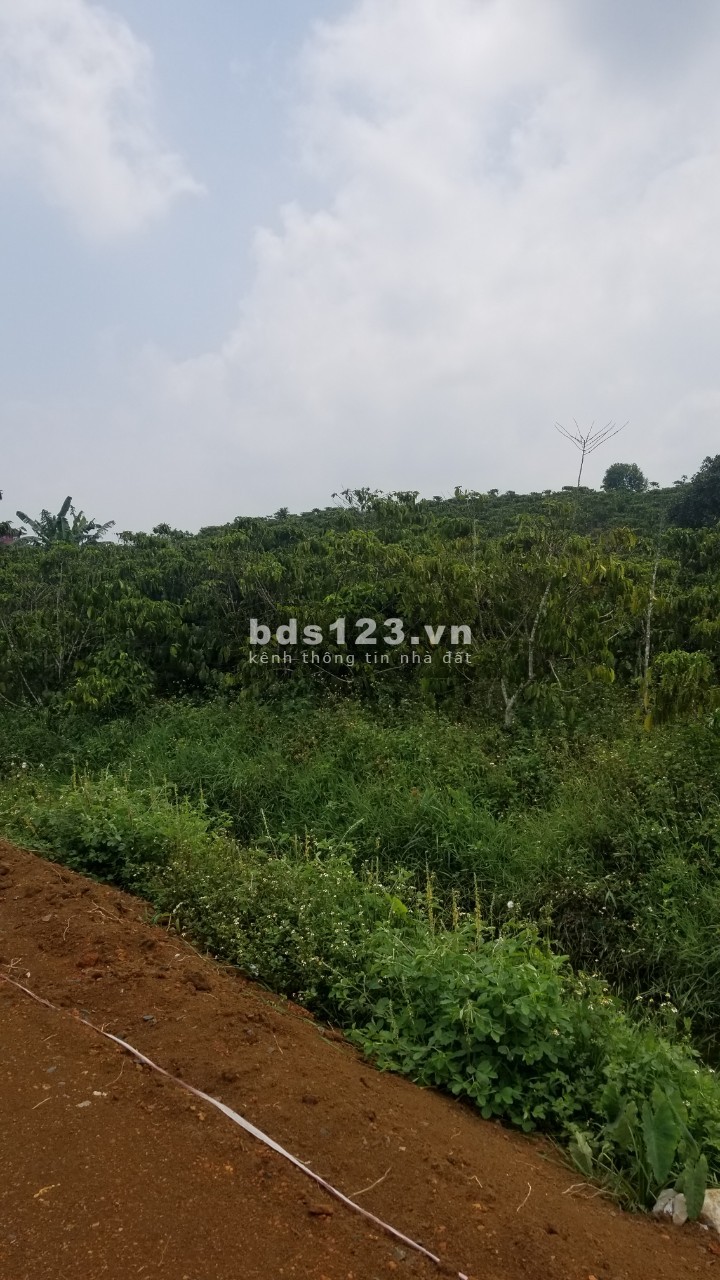 Bán gấp đất mặt tiền đường nguyễn văn cừ, ngang 6 full thổ cư,810tr