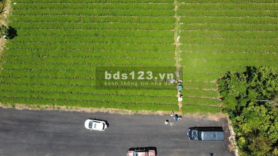 BÁN LÔ ĐẤT BẢO LỘC 239M2 VIEW HỒ GIÁ 1.25 TỶ