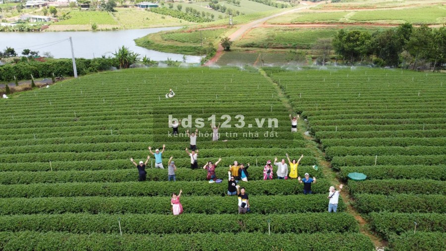 BÁN LÔ ĐẤT BẢO LỘC 239M2 VIEW HỒ GIÁ 1.25 TỶ