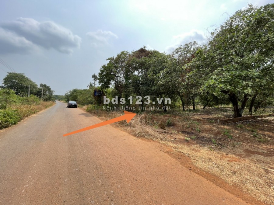 1043m2 đất mặt tiền Phước Bình đường mở rộng 32m, giá đầu tư tốt, SHR