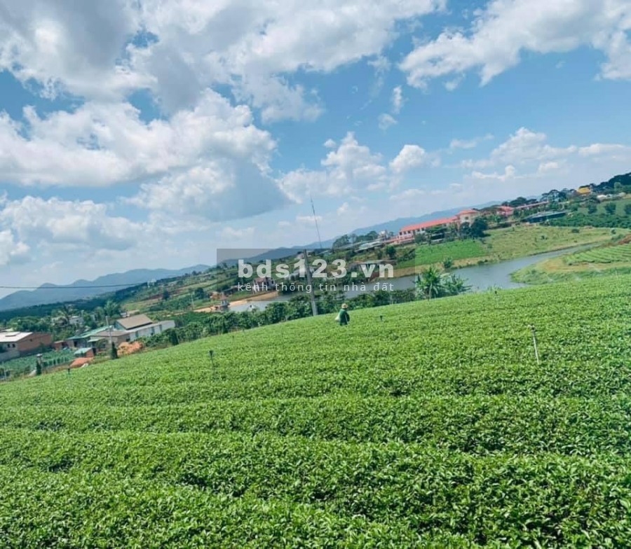BÁN LÔ ĐẤT BẢO LỘC 239M2 VIEW HỒ GIÁ 1.25 TỶ