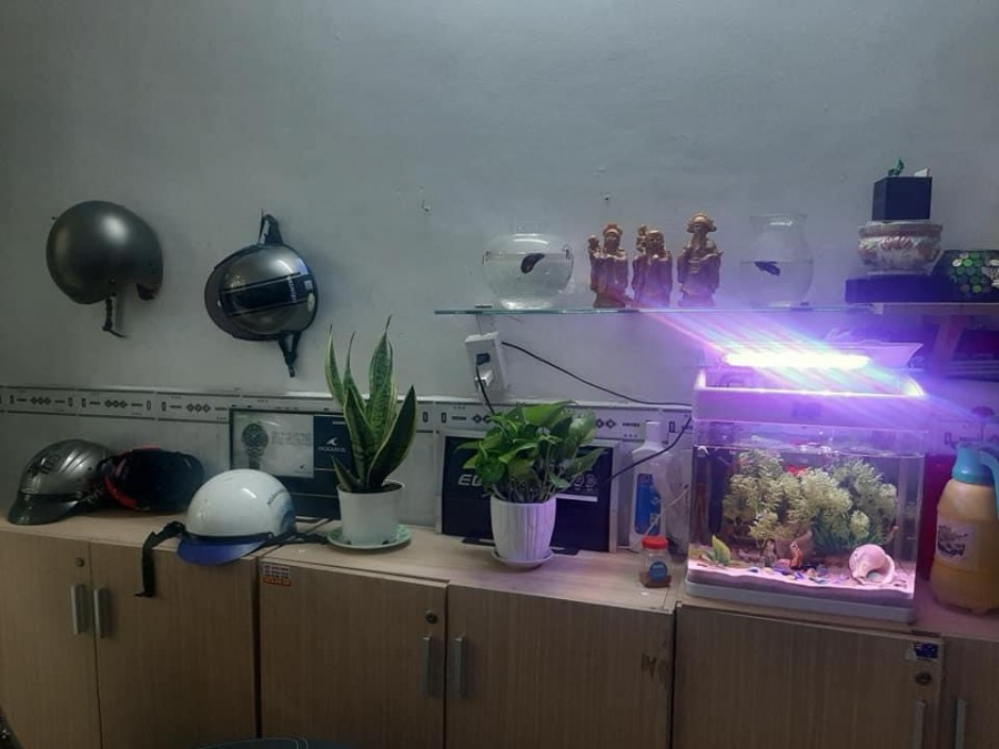 Bán nhà giá rẻ 3,9 tỷ, 50m2, 3 phòng ngủ, hẻm 3m, Đỗ Nhuận,…