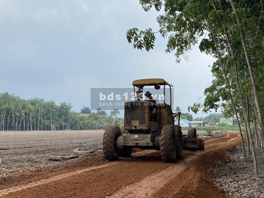 Cần bán lô đất tại Tân Hiệp, Thị Trấn Tân Châu, tỉnh Tây Ninh