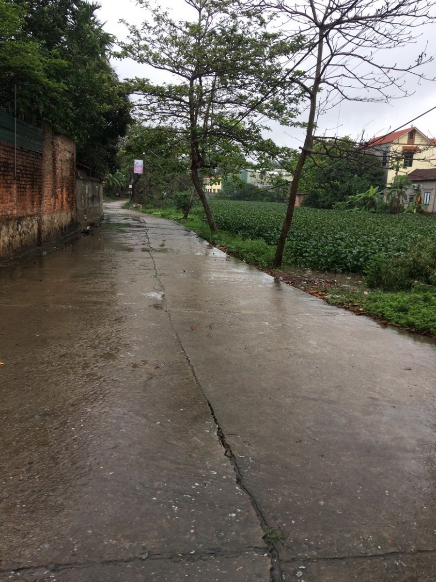 Bán đất đầu tư xóm Trung Việt Thôn Bãi Cao Viên, Thanh Oai, Hà Nội