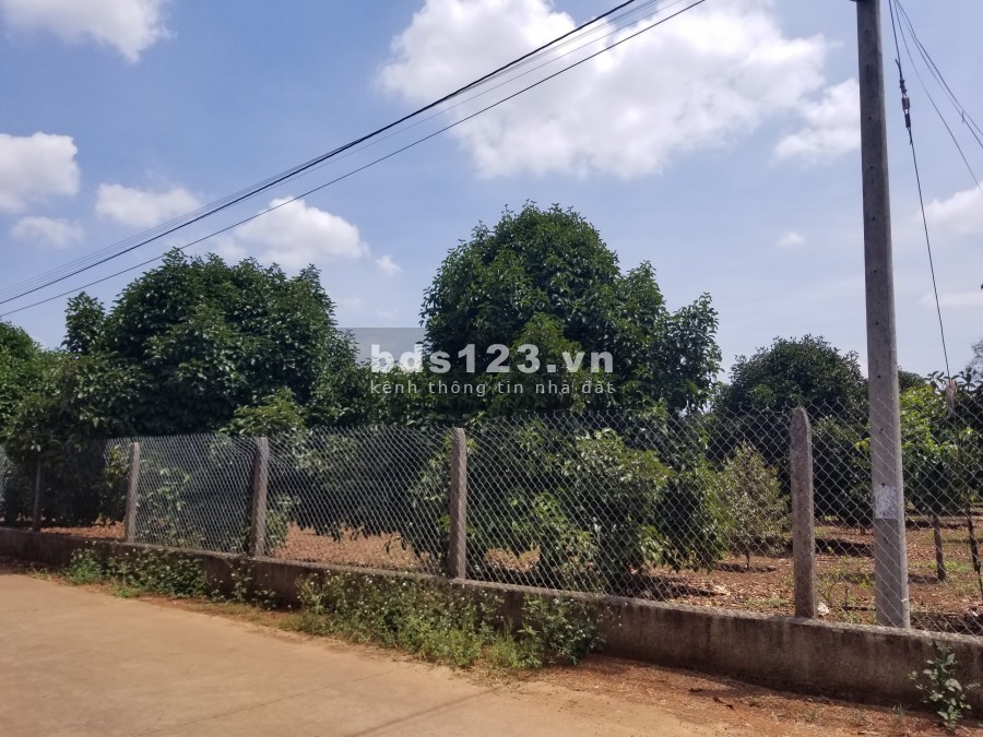 Đất Sào 1,8tr/m2 Huyện Thống Nhất Đồng Nai SHR có sẵn
