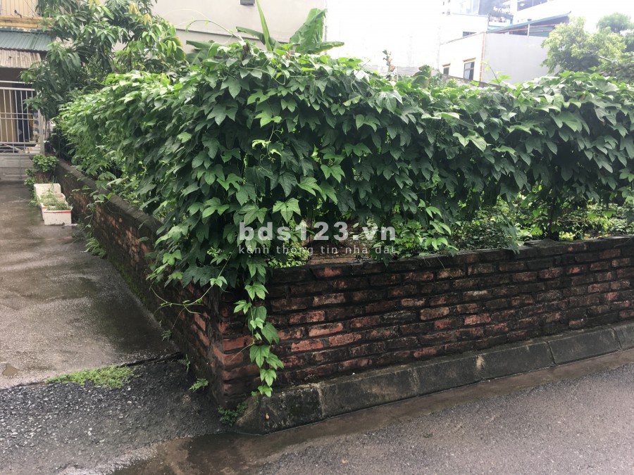 Cần bán 125,5m2 tổ 12 Cự Khối Long Biên, cách đường ô tô chỉ 15m