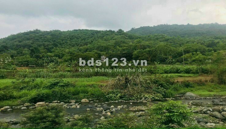 Hàng hiếm có 102 bán nhanh trang trại nghỉ dưỡng tại trung…