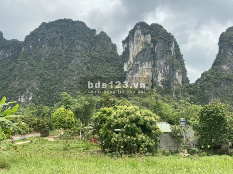 Hàng hiếm có 102 bán nhanh trang trại nghỉ dưỡng tại trung…