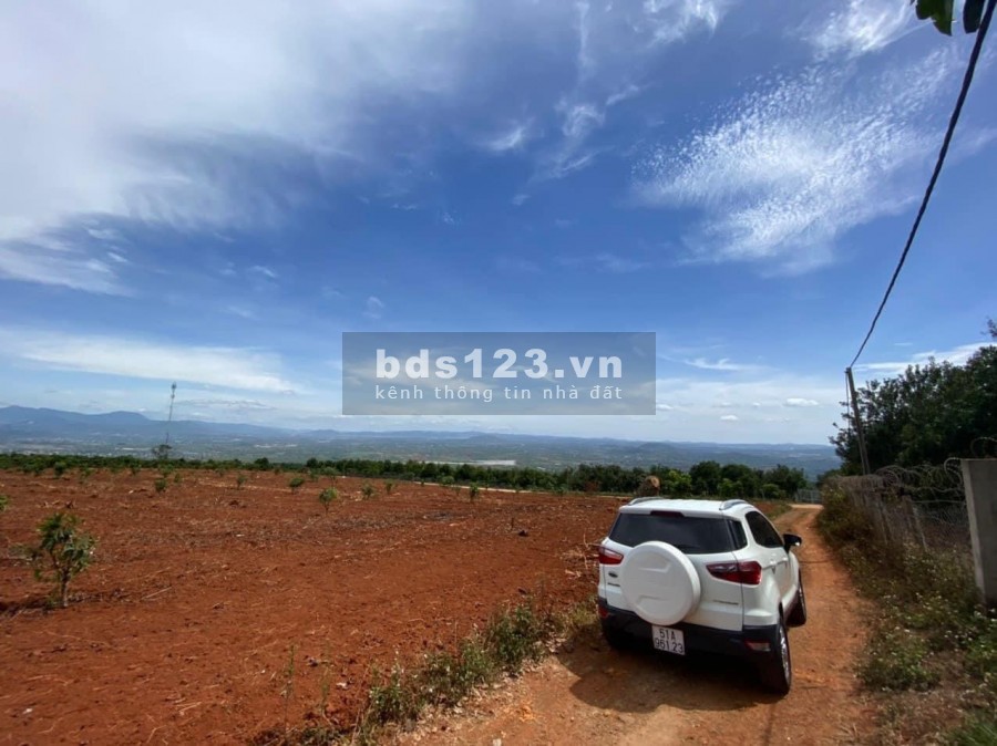 BÁN LÔ ĐẤT VÀNG VIEW TOÀN THỊ TRẤN ĐINH VĂN, CHỈ 1.7 TRIỆU/M2
