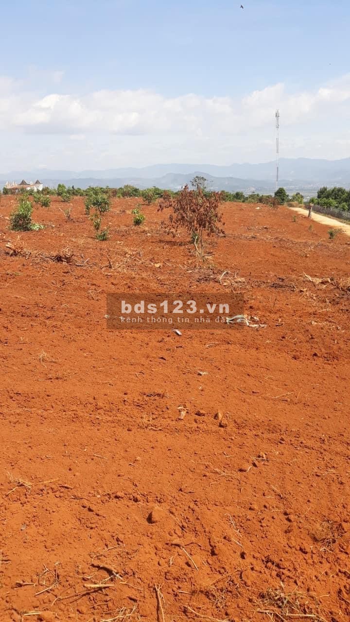 BÁN LÔ ĐẤT VÀNG VIEW TOÀN THỊ TRẤN ĐINH VĂN, CHỈ 1.7 TRIỆU/M2