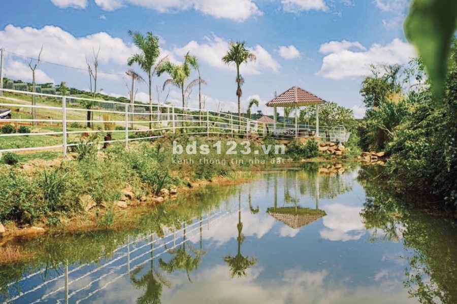 Bán lô đất 81m2 -View sông, sát bên Khu Du Lịch lớn, sổ riêng thổ cư 100%, giá 1,1 tỷ