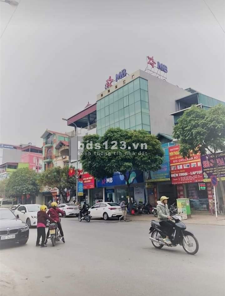 Đất ở siêu đẹp, hợp túi tiền tại Trâu Quỳ, Gia Lâm(1)