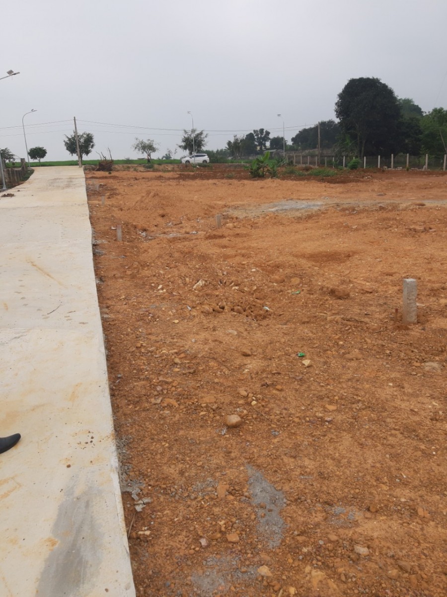 CHÍNH CHỦ CẦN BÁN GẤP LÔ ĐẤT TẠI TRUNG TÂM THỊ XÃ THÁI HÒA