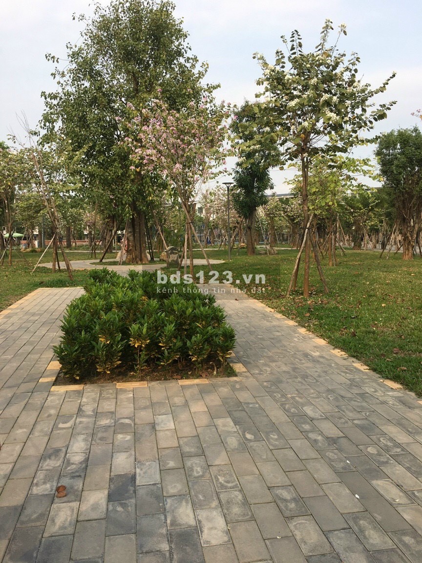 Chính chủ cần bán căn LK TT3-KD-11, Ecopark Hải Dương, 112.26m2, mt 6m, đường 28m