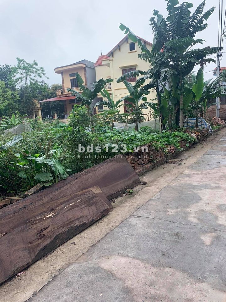 Chưa đến 1 tỷ có ngay mảnh đất tặng nhà C4 DT 50m2 tại Kim Sơn, Gia Lâm. LH 0983253436