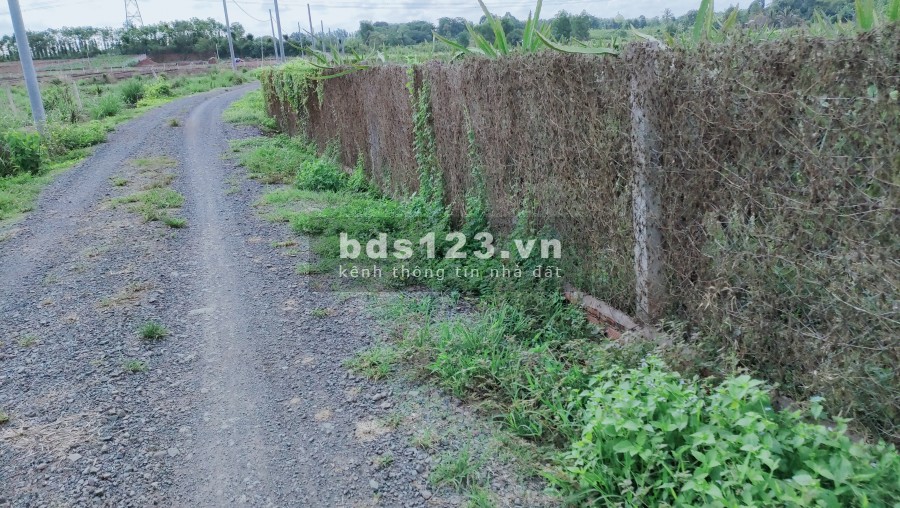 ĐẤT VƯỜN TRẢNG BOM, SỔ HỒNG CÓ SẴN, CÁCH QL1A 2KM.780TR/ SÀO