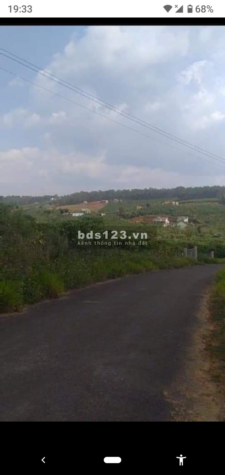 Bán gấp 2000 m² đất view Bảo Lâm
