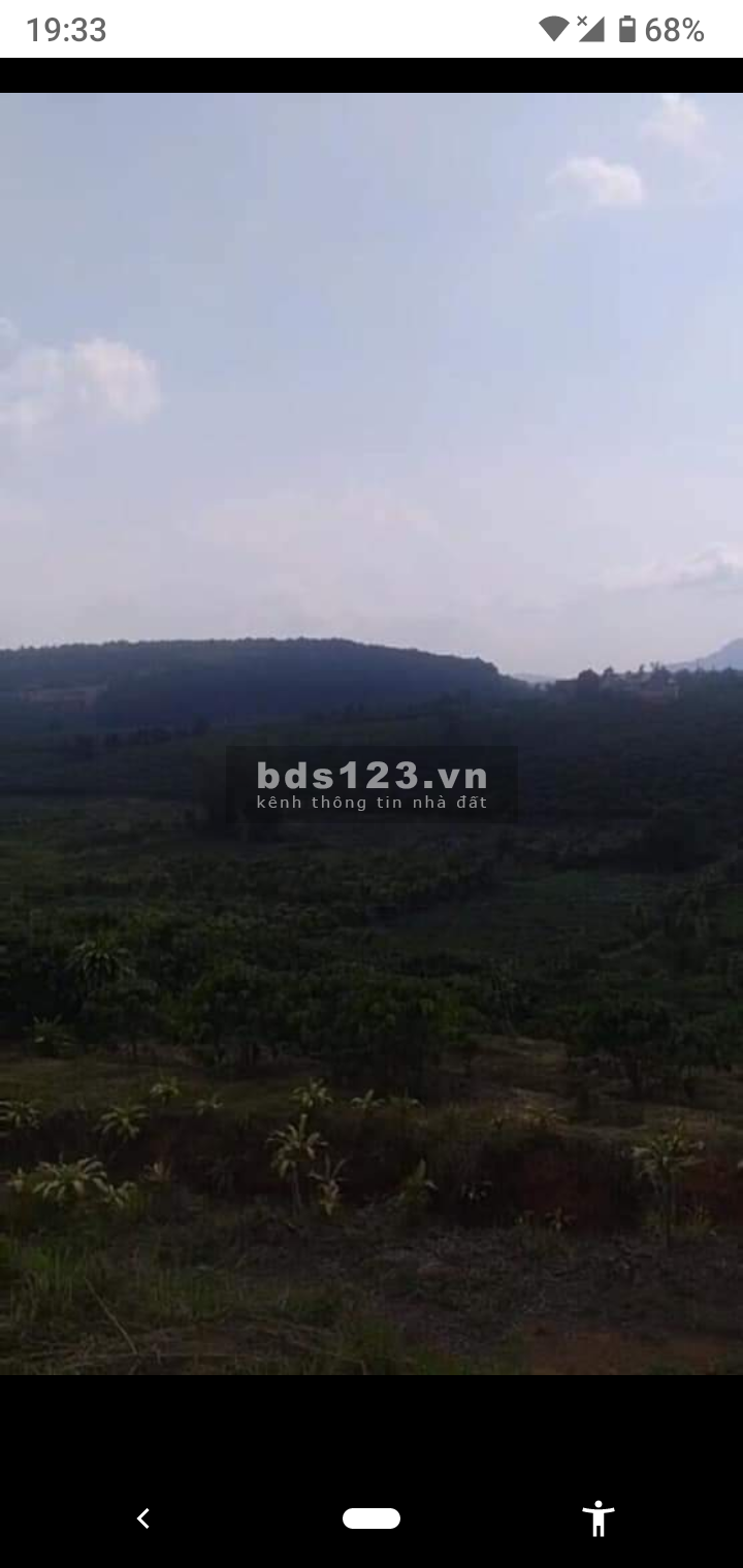 Bán gấp 2000 m² đất view Bảo Lâm