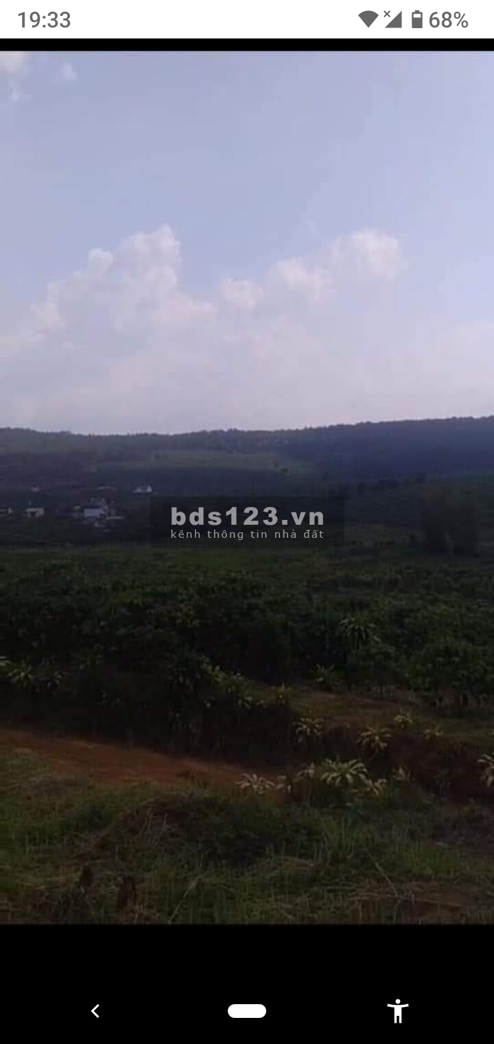 Bán gấp 2000 m² đất view Bảo Lâm
