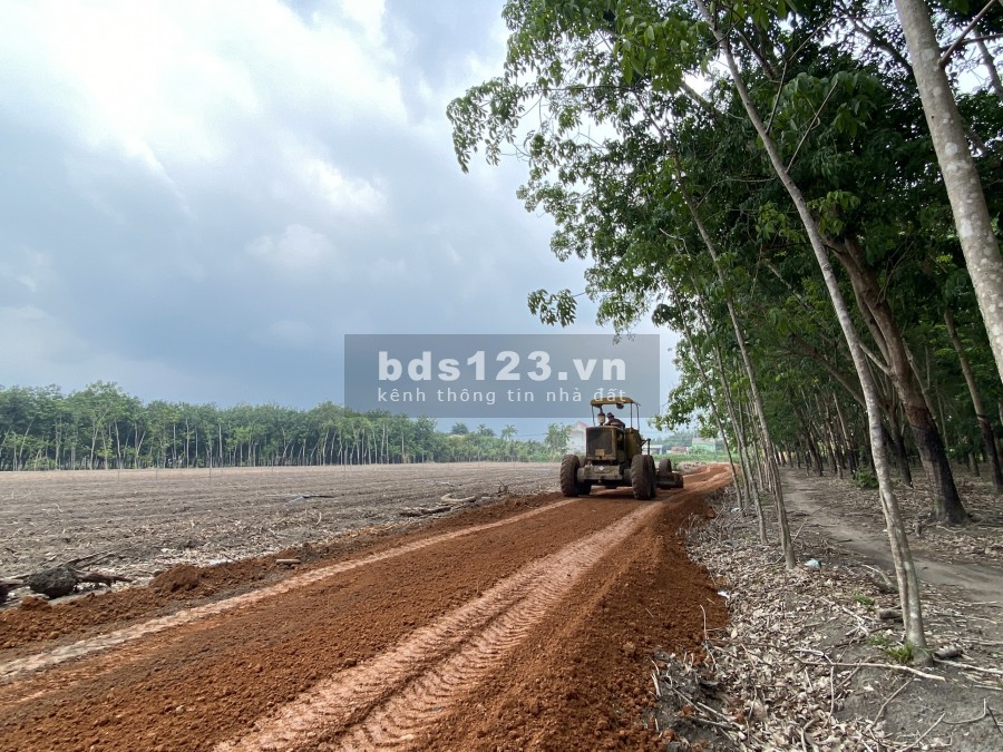 Bán đất gần trung tâm thị trấn Tân Châu, Tây Ninh chỉ hơn 300triệu