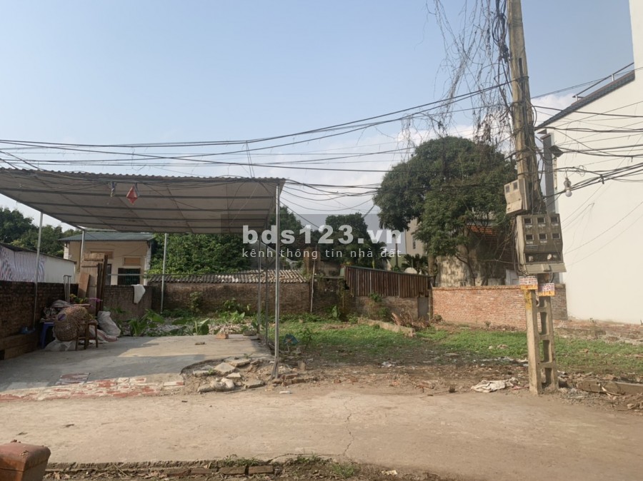 Chính Chủ Bán Lô Đất Tại Phụng Châu, Chương Mỹ. 278m2 Thổ Cư, Sổ Đỏ, Ô Tô Vào, 11.5 tr/m2